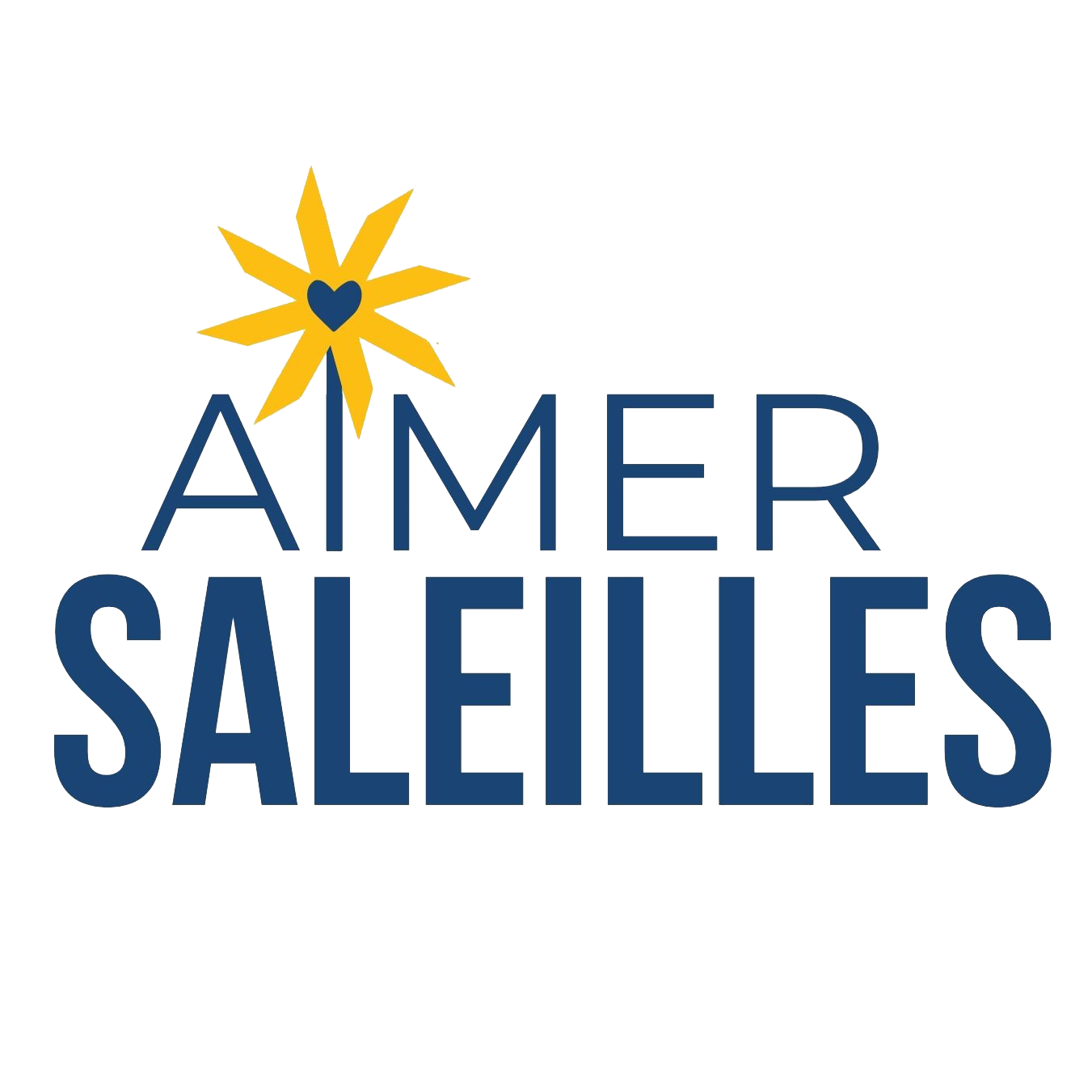 Logo Aimer Saleilles